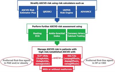 Atherosclerotic cardiovascular disease risk stratification and management in type 2 diabetes: review of recent evidence-based guidelines